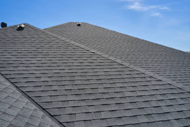 Best Roof Moss and Algae Removal  in Prince Frederick, MD